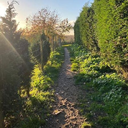 Belton with Browston Chester'S Retreat מראה חיצוני תמונה